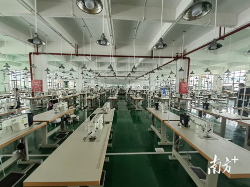 廣東AI賦能產(chǎn)業(yè)升級 以科技信息咨詢服務(wù)引爆融合新優(yōu)勢